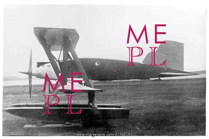 : Caspar C.29 : Caspar C.29