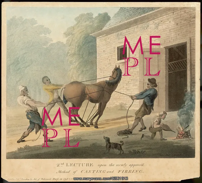 : CASTING / FIRING A HORSE : CASTING / FIRING A HORSE
