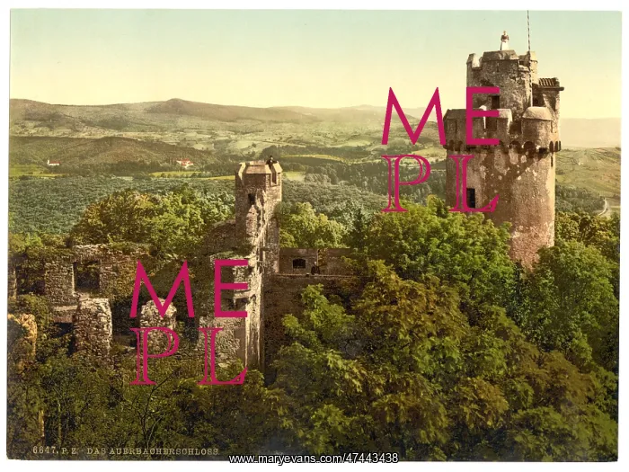 : The castle, Auerbach, Hartz, Germany : The castle, Auerbach, Hartz, Germany