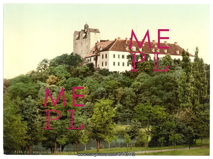 : The castle, Ballenstedt, Hartz, Germany : The castle, Ballenstedt, Hartz, Germany