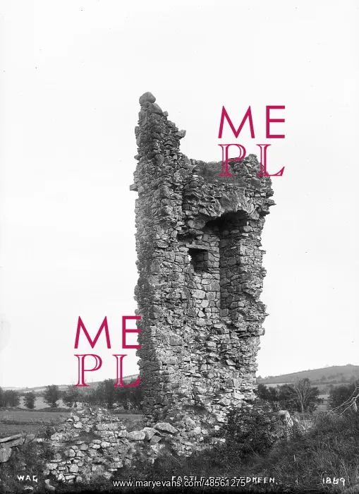 : Castle Boy, Ardkeen : Castle Boy, Ardkeen