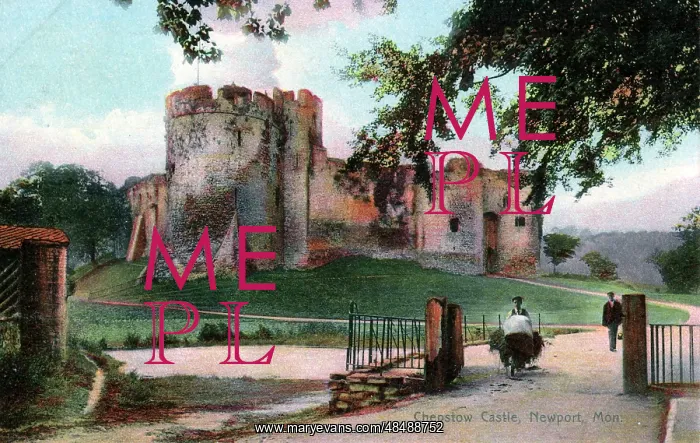 : The Castle, Chepstow, Monmouthshire : The Castle, Chepstow, Monmouthshire