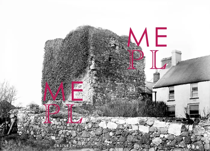 : Castle Chichester, Whitehead : Castle Chichester, Whitehead