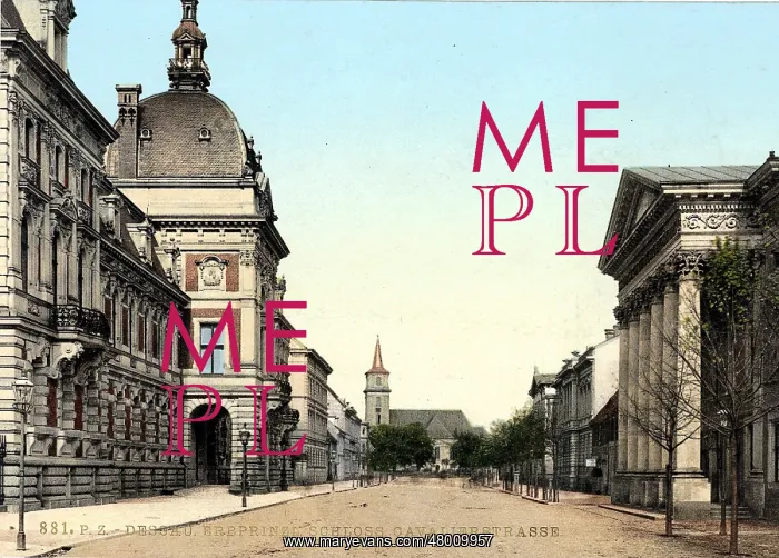 : Castle in Dessau in 1904 : Castle in Dessau in 1904