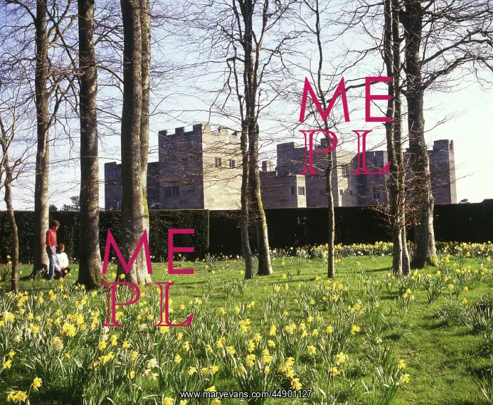 : Castle Drogo, near Drewsteignton, Devon : Castle Drogo, near Drewsteignton, Devon