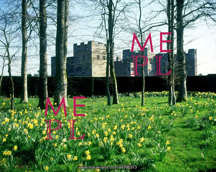 : Castle Drogo, near Drewsteignton, Devon : Castle Drogo, near Drewsteignton, Devon