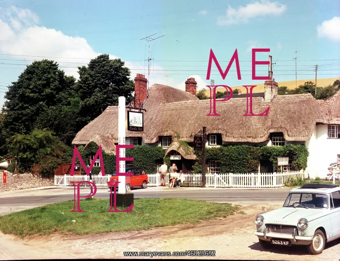 : The Castle Inn, Lulworth : The Castle Inn, Lulworth
