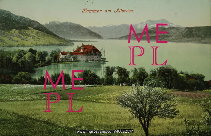 : Castle Kammer at the Lake Attersee. View of the castle : Castle Kammer at the Lake Attersee. View of the castle