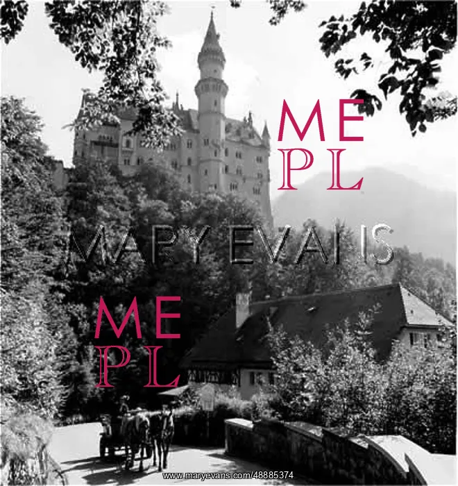 : CASTLE / NEUSCHWANSTEIN : CASTLE / NEUSCHWANSTEIN