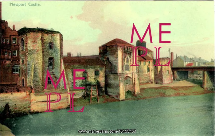 : The Castle, Newport, Monmouthshire : The Castle, Newport, Monmouthshire