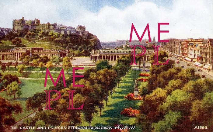 : The Castle & Princes Street, Edinburgh, Midlothian : The Castle & Princes Street, Edinburgh, Midlothian