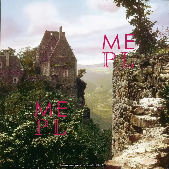 : The castle ruin Aggstein : The castle ruin Aggstein