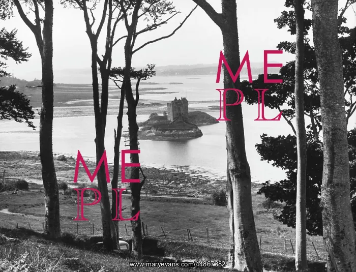 : CASTLE STALKER : CASTLE STALKER