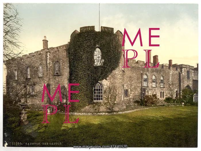 : The castle, Taunton, England : The castle, Taunton, England