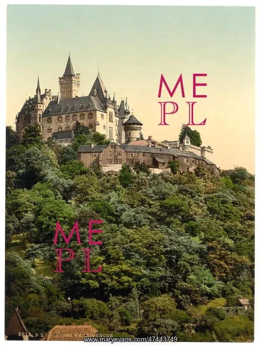 : The castle, Wernigerode, Hartz, Germany : The castle, Wernigerode, Hartz, Germany