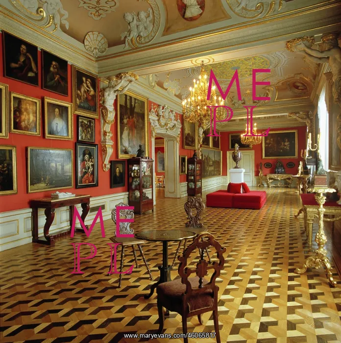 : Castle Wilanow : Castle Wilanow
