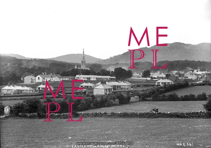 : Castlewellan, Co. Down : Castlewellan, Co. Down