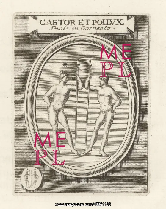 : Castor and Pollux, twin sons of Leda : Castor and Pollux, twin sons of Leda