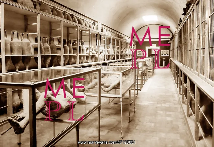  : Casts in Pompeii Museum, Italy