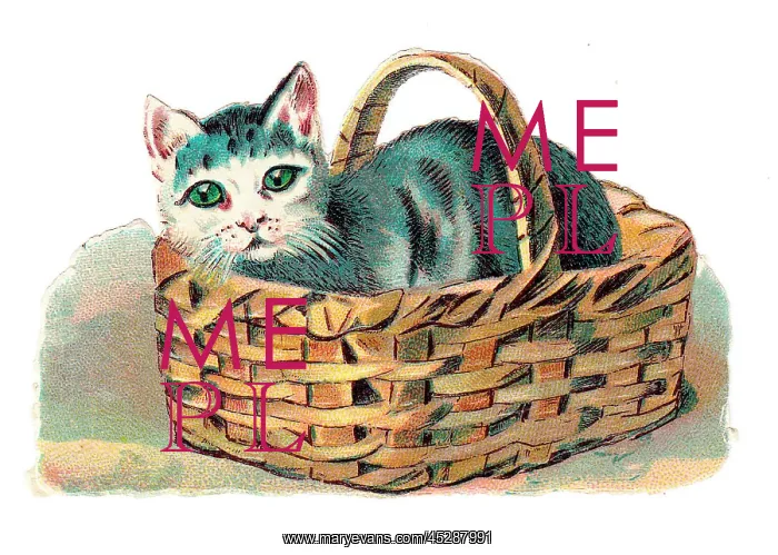 : Cat in a basket on a Victorian scrap : Cat in a basket on a Victorian scrap