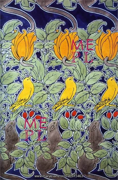  : Cat and Bird Pattern
