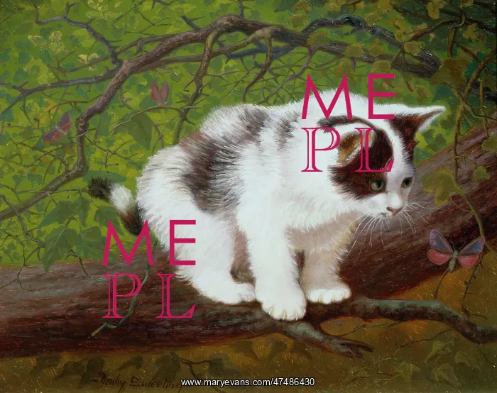  : Cat on a Branch with Butterfly