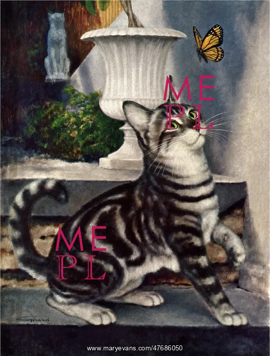  : Cat and Butterfly