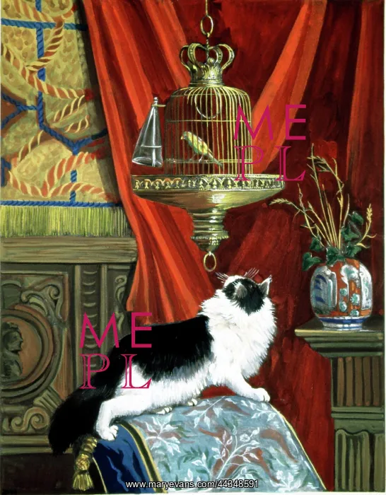  : Cat and Caged Bird