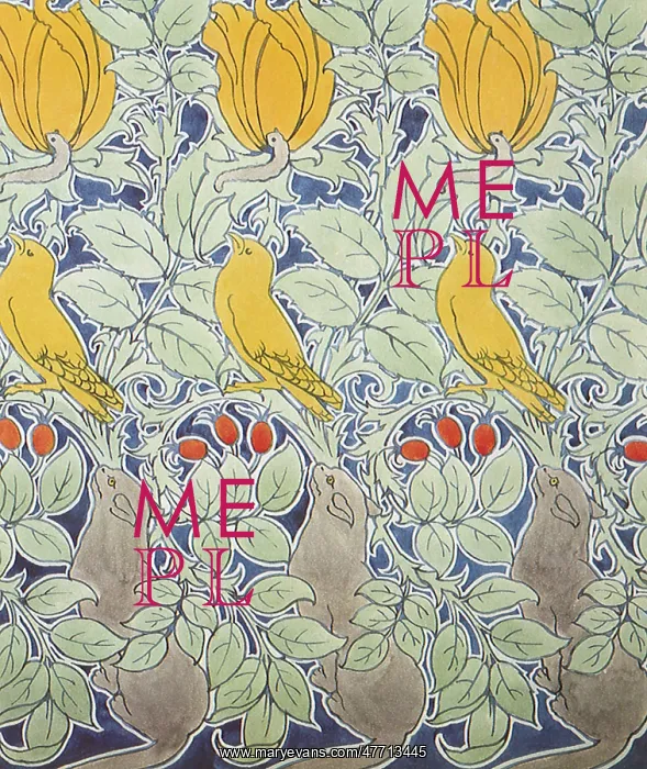  : Cat, Canaries, Tulips