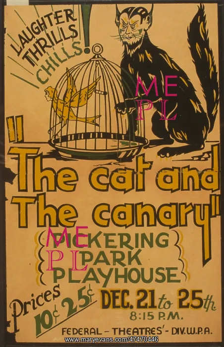 : The cat and the canary : The cat and the canary
