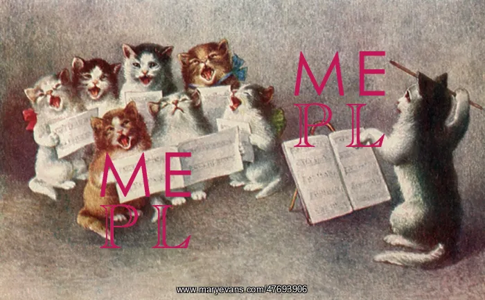  : Cat Choir