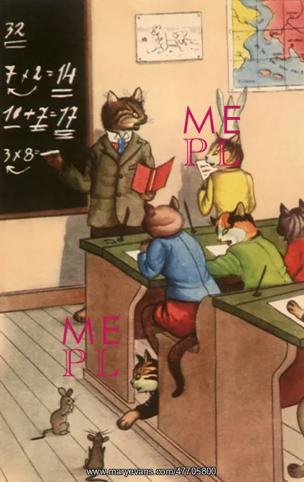  : Cat Classroom