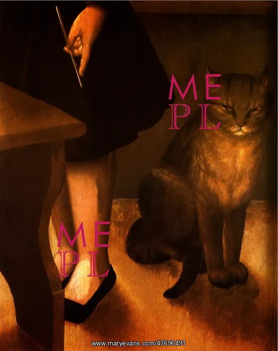  : Cat Companion