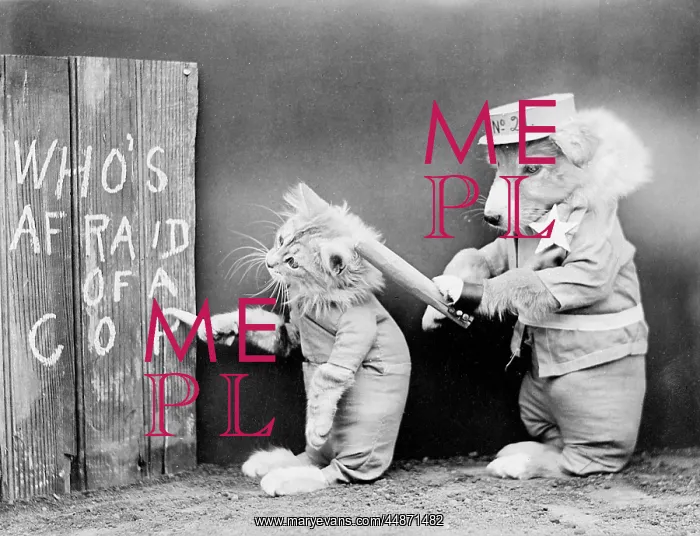 : CAT CRIMINAL COSHED! : CAT CRIMINAL COSHED!