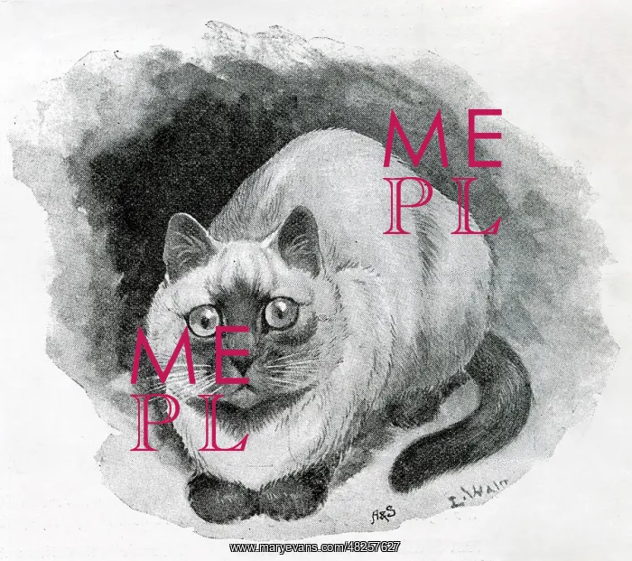 : The Cat Show at the Crystal Palace by Louis Wain : The Cat Show at the Crystal Palace by Louis Wain