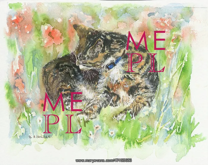  : Cat curled up in Grass with Flowers
