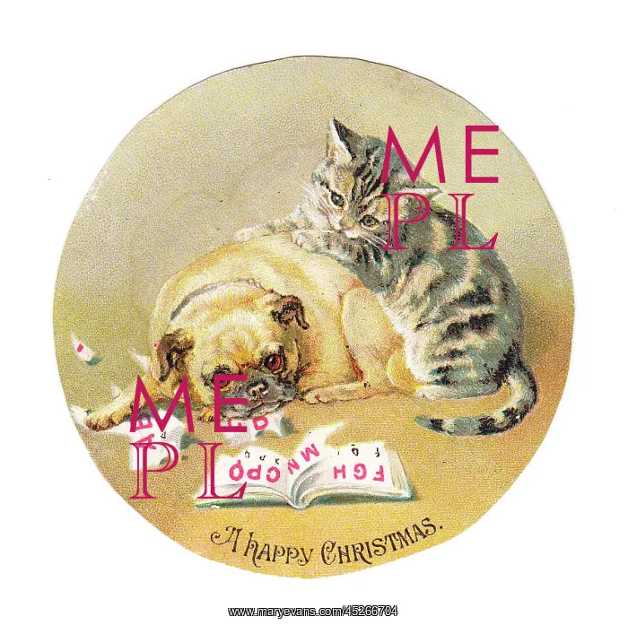 : Cat and dog on a circular Christmas card : Cat and dog on a circular Christmas card