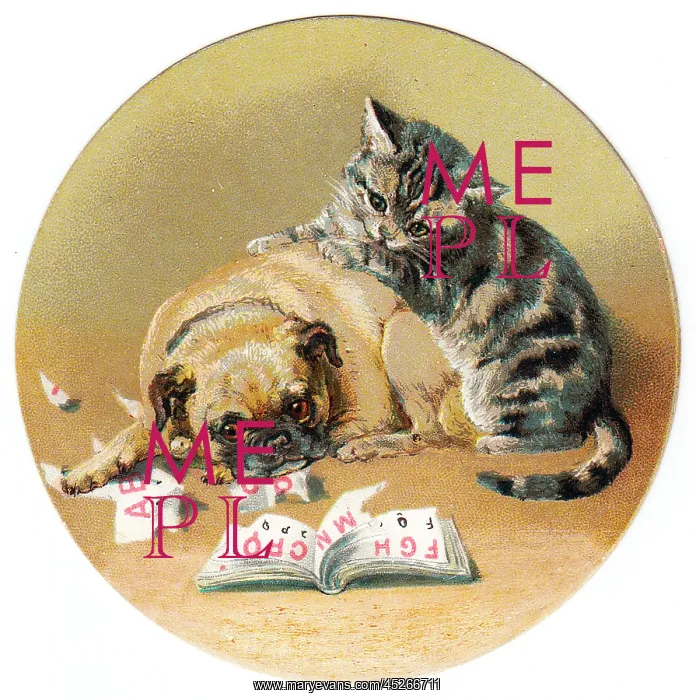 : Cat and dog on a circular greetings card : Cat and dog on a circular greetings card
