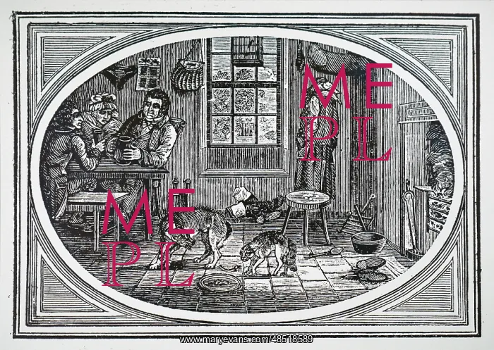  : Cat and dog quarelling over scraps