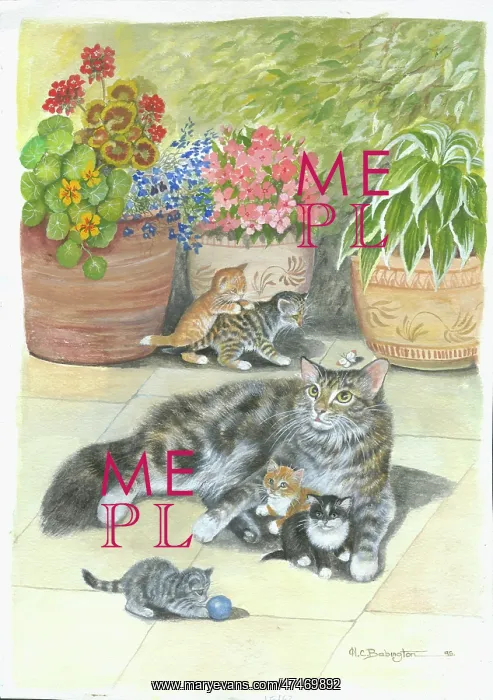  : Cat Family on a Sunny Patio