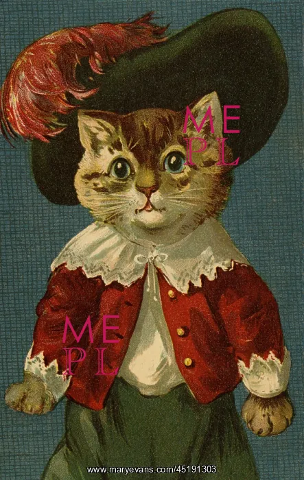 : Cat in feathered hat by g h Thompson : Cat in feathered hat by g h Thompson