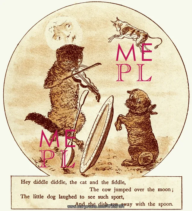  : CAT AND FIDDLE