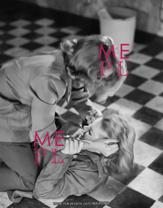 : CAT FIGHT : CAT FIGHT