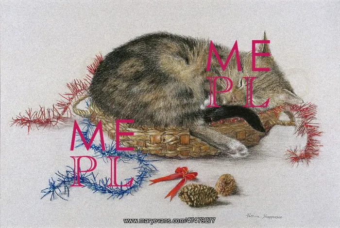 : Cat with fir cones and tinsel : Cat with fir cones and tinsel