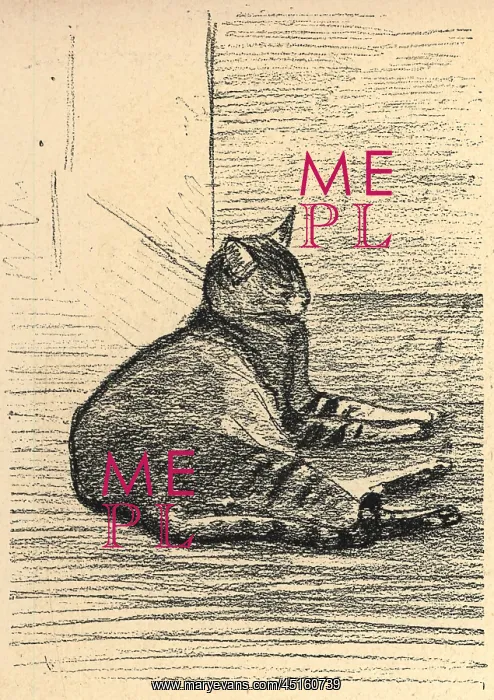 : Cat On The Floor : Cat On The Floor