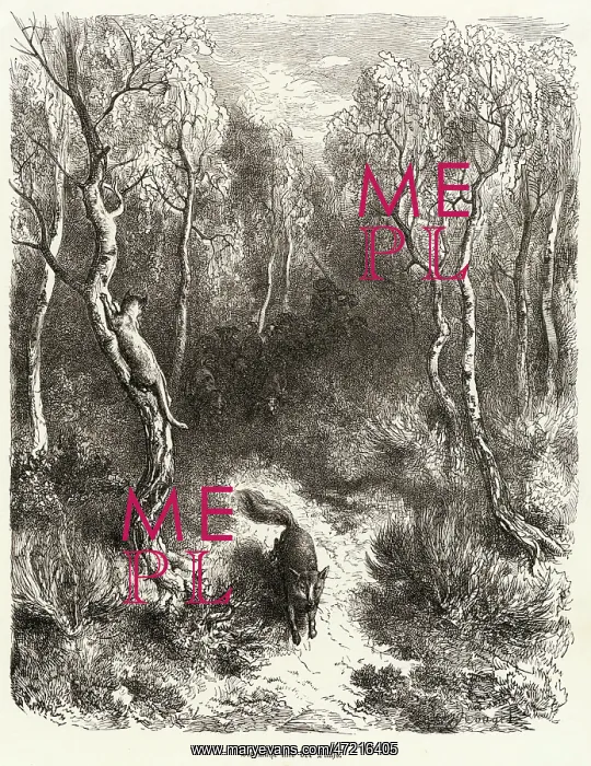 : The Cat - the Fox - circa 1870 : The Cat - the Fox - circa 1870