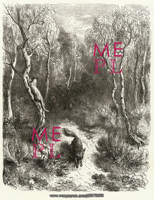  : The Cat - the Fox - circa 1870