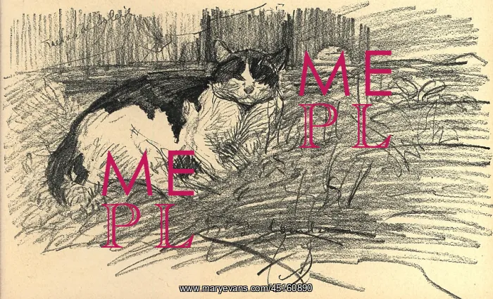 : Cat In The Garden : Cat In The Garden