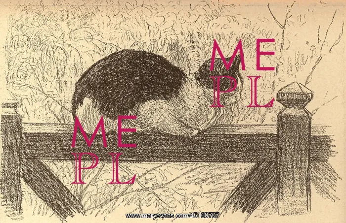 : The Cat On The Gate : The Cat On The Gate