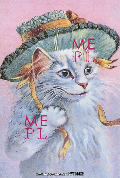  : Cat in Green Hat